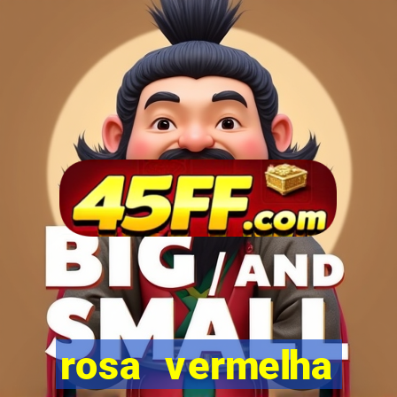 rosa vermelha (letra e cifra)